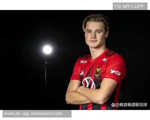 登博思与海尔蒙特的精彩对决分析与战术解析